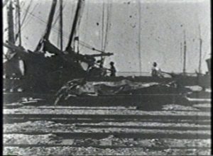 Galveston Hurricane of 1900 - Birdseye View of Dock Front, Galveston